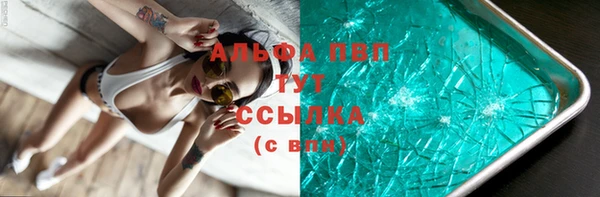 гашик Абаза